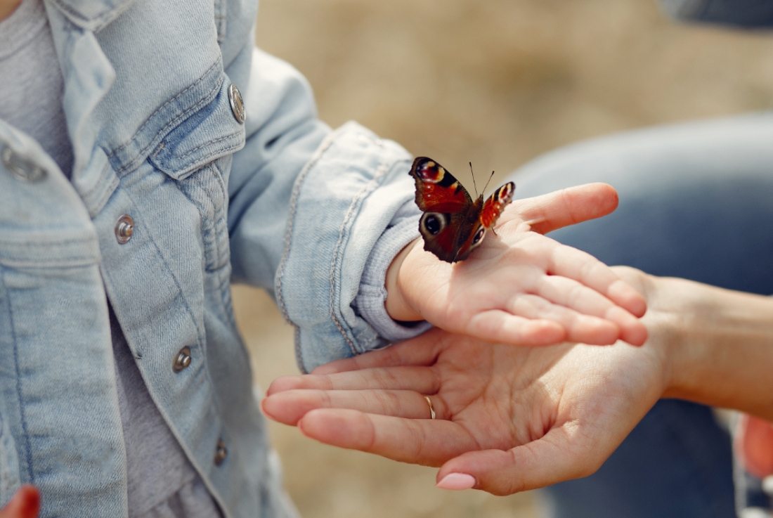 &Tau;&iota; &epsilon;ί&nu;&alpha;&iota; &eta; Ahimsa - M&eta; B&lambda;&alpha;&pi;&tau;&iota;&kappa;ό&tau;&eta;&tau;&alpha; &kappa;&alpha;&iota; &pi;ώ&sigmaf; &epsilon;&pi;&eta;&rho;&epsilon;ά&zeta;&epsilon;&iota; &tau;&eta; &zeta;&omega;ή &mu;&alpha;&sigmaf;;