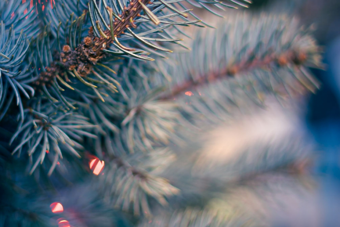 &Epsilon;&upsilon;&chi;έ&sigmaf; &gamma;&iota;&alpha; &tau;&alpha; &Chi;&rho;&iota;&sigma;&tau;&omicron;ύ&gamma;&epsilon;&nu;&nu;&alpha;