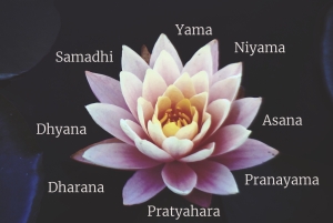 &Tau;&iota; &epsilon;ί&nu;&alpha;&iota; &tau;&alpha; &Gamma;&iota;ά&mu;&alpha;-&Nu;&iota;&gamma;&iota;ά&mu;&alpha; &kappa;&alpha;&iota; &tau;&rho;ό&pi;&omicron;&iota; &epsilon;&phi;&alpha;&rho;&mu;&omicron;&gamma;ή&sigmaf; &tau;&omicron;&upsilon;&sigmaf; &gamma;&iota;&alpha; &mu;&iota;&alpha; &alpha;&rho;&mu;&omicron;&nu;&iota;&kappa;ή &zeta;&omega;ή